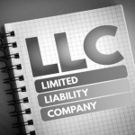 Limited Liability Company Management Basics