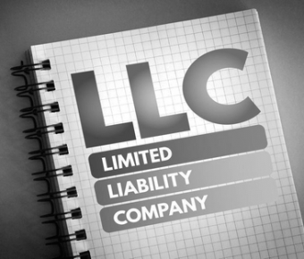 Limited Liability Company Management Basics