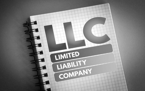 Limited Liability Company Management Basics