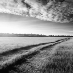 Express Easement