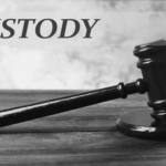 Legal Custody Minnesota