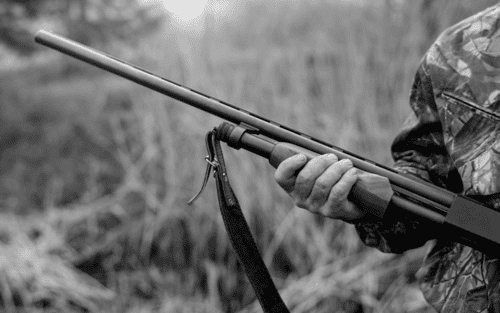 Firearm Denial North Dakota